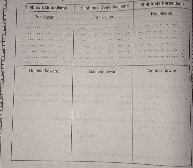 Simbiosis Mutualisme Simbiosis Komensalisme Simbiosis Parasitisme