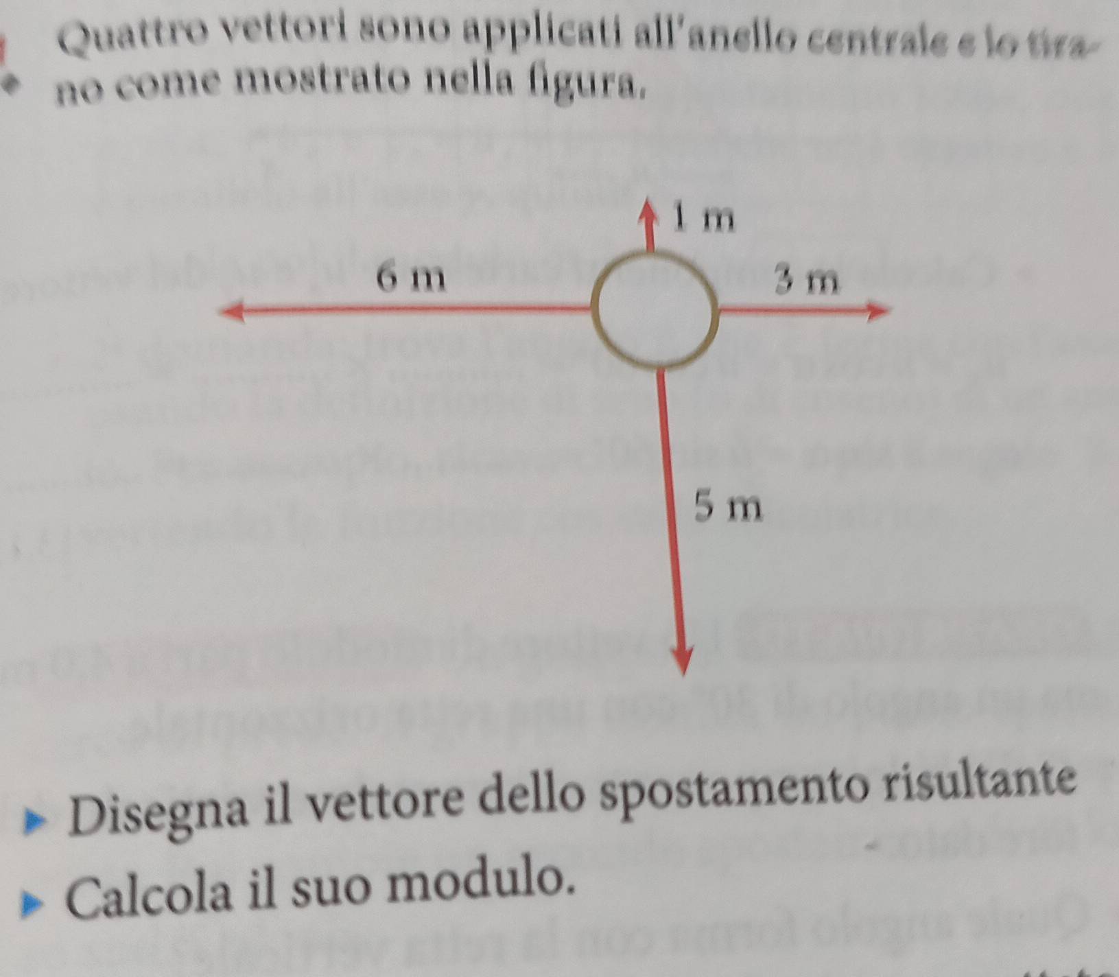 Quattro vettori sono applicati all'anello central e e o 
no come mostrato nella fígura. 
Disegna il vettore dello spostamento risultante 
Calcola il suo modulo.