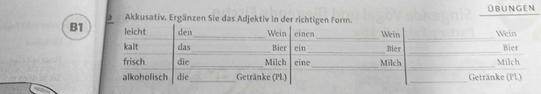 übungen 
* Akkusativ. Ergänzen Sie das Adjektiv in der richtigen Form.
B1