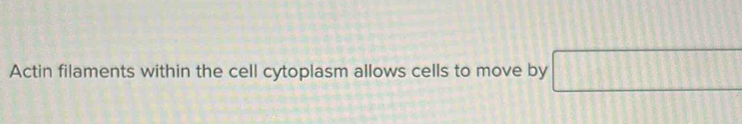 Actin filaments within the cell cytoplasm allows cells to move by □