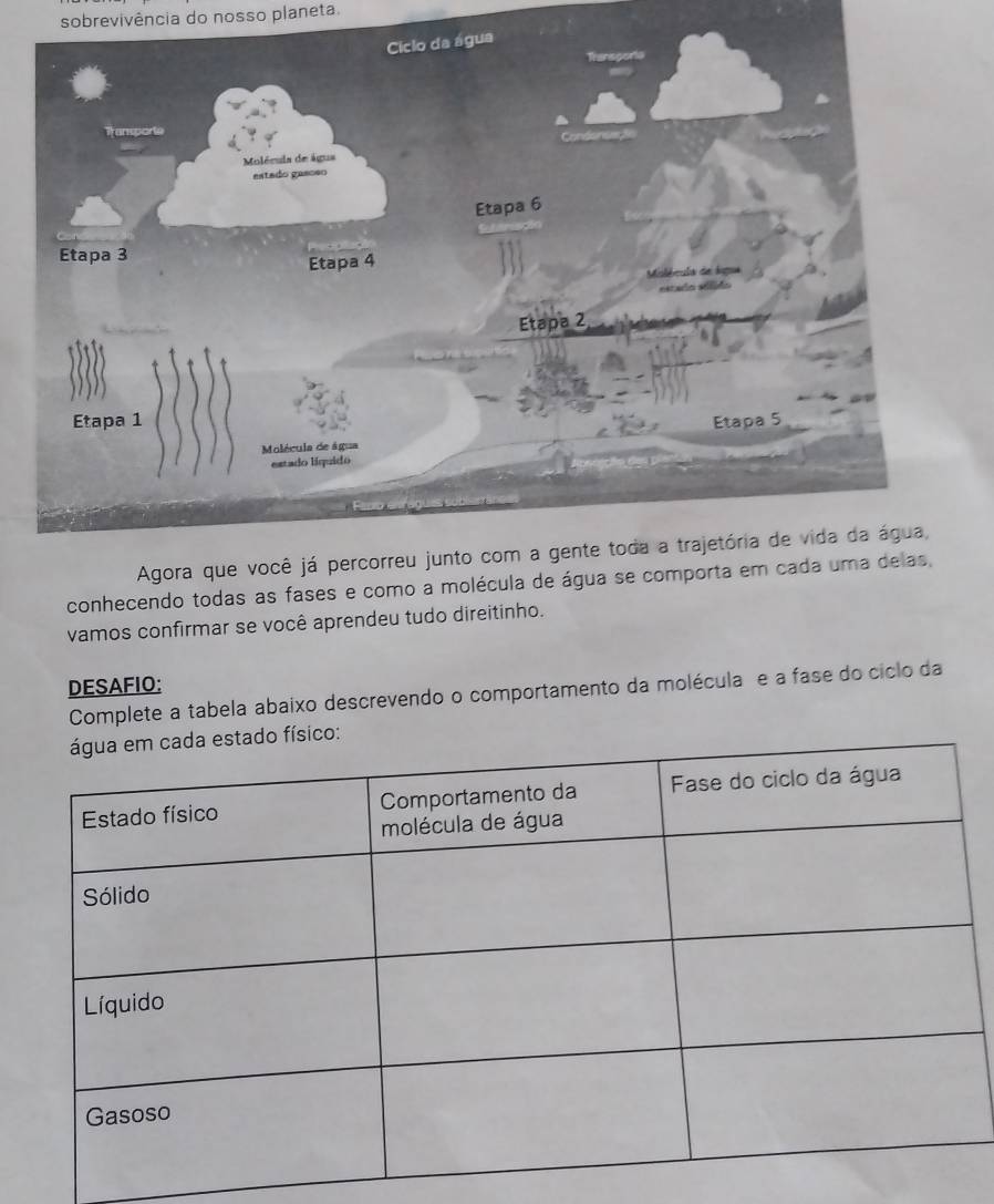 sobrevivência do nosso planeta. 
conhecendo todas as fases e como a molécula de água se comporta em cada uma delas, 
vamos confirmar se você aprendeu tudo direitinho. 
DESAFIO: 
Complete a tabela abaixo descrevendo o comportamento da molécula e a fase do ciclo da