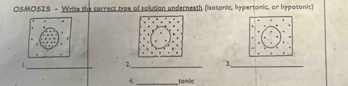 OSMOSIS - Write the correct type of solution underneath (isotonic, hypertonic, or hypotonic) 
1._ 
2._ 
3._ 
4._ tonic