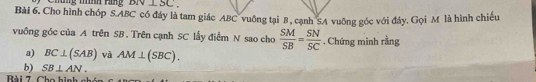 ư ng tình ràng Bi L SC . 
Bài 6. Cho hình chóp S. ABC có đáy là tam giác ABC vuông tại B , cạnh SA vuỡng góc với đáy. Gọi M là hình chiếu 
vuông góc của A trên SB. Trên cạnh SC lấy điểm N sao cho  SM/SB = SN/SC . Chứng minh rằng 
a) BC⊥ (SAB) và AM⊥ (SBC). 
b) SB⊥ AN. 
Bài 7. Cho hình nhón