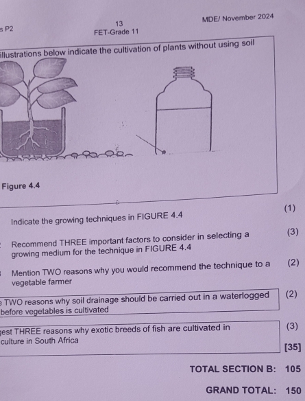 MDE/ November 2024 
s P2 FET-Grade 11 
illustrations below indicate the cultivation of plants without using soil 
Figure 4.4 
Indicate the growing techniques in FIGURE 4.4 (1) 
Recommend THREE important factors to consider in selecting a (3) 
growing medium for the technique in FIGURE 4.4 
Mention TWO reasons why you would recommend the technique to a (2) 
vegetable farmer 
e TWO reasons why soil drainage should be carried out in a waterlogged (2) 
before vegetables is cultivated 
gest THREE reasons why exotic breeds of fish are cultivated in (3) 
culture in South Africa [35] 
TOTAL SECTION B: 105
GRAND TOTAL： 150