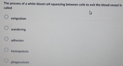 The process of a white blood cell squeezing between cells to exit the blood vessel is
called
emigration
wandering
adhesion
hemopoiesis
phagocytosis