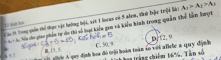 Cầu 19. Trong quần thể thực vật lưỡng bội, xét 1 locus có 5 alen, thứ bậc trội là: A_1>A_2>A_3
Tổ Sinh học
A > A Nếu cho giao phần tự do thì số loại kiểu gen và kiểu hình trong quần thể lần lượt
D, 12, 9.
là:
A. 9, 5. B. 15, 5. C. 30, 9.
vật, allele A quy định hoa đồ trội hoàn toàn so với allele a quy định
* rng chiếm 16%. Tần số