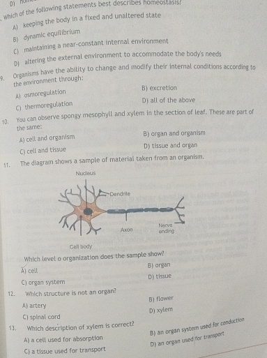 Dị nu 
Which of the following statements best describes homeostasis:
A) keeping the body in a fixed and unaltered state
8) dynamic equilibrium
C) maintaining a near-constant internal environment
D) altering the external environment to accommodate the body's needs
9. Organisms have the ability to change and modify their internal conditions according to
the environment through:
B) excretion
A) osmoregulation
C) thermoregulation
D) all of the above
10. You can observe spongy mesophyll and xylem in the section of leaf. These are part of
the same:
A) cell and organism
B) organ and organism
C) cell and tissue D) tissue and organ
11. The diagram shows a sample of material taken from an organism.
Cell body
Which level o organization does the sample show?
A) cell B)organ
C) organ system D) tissue
12. Which structure is not an organ?
B) flawer
A) artery
C) spinal cord D) xylem
B) an organ system used for conduction
13. Which description of xylem is correct?
D) an organ used for transport
A) a cell used for absorption
C) a tissue used for transport