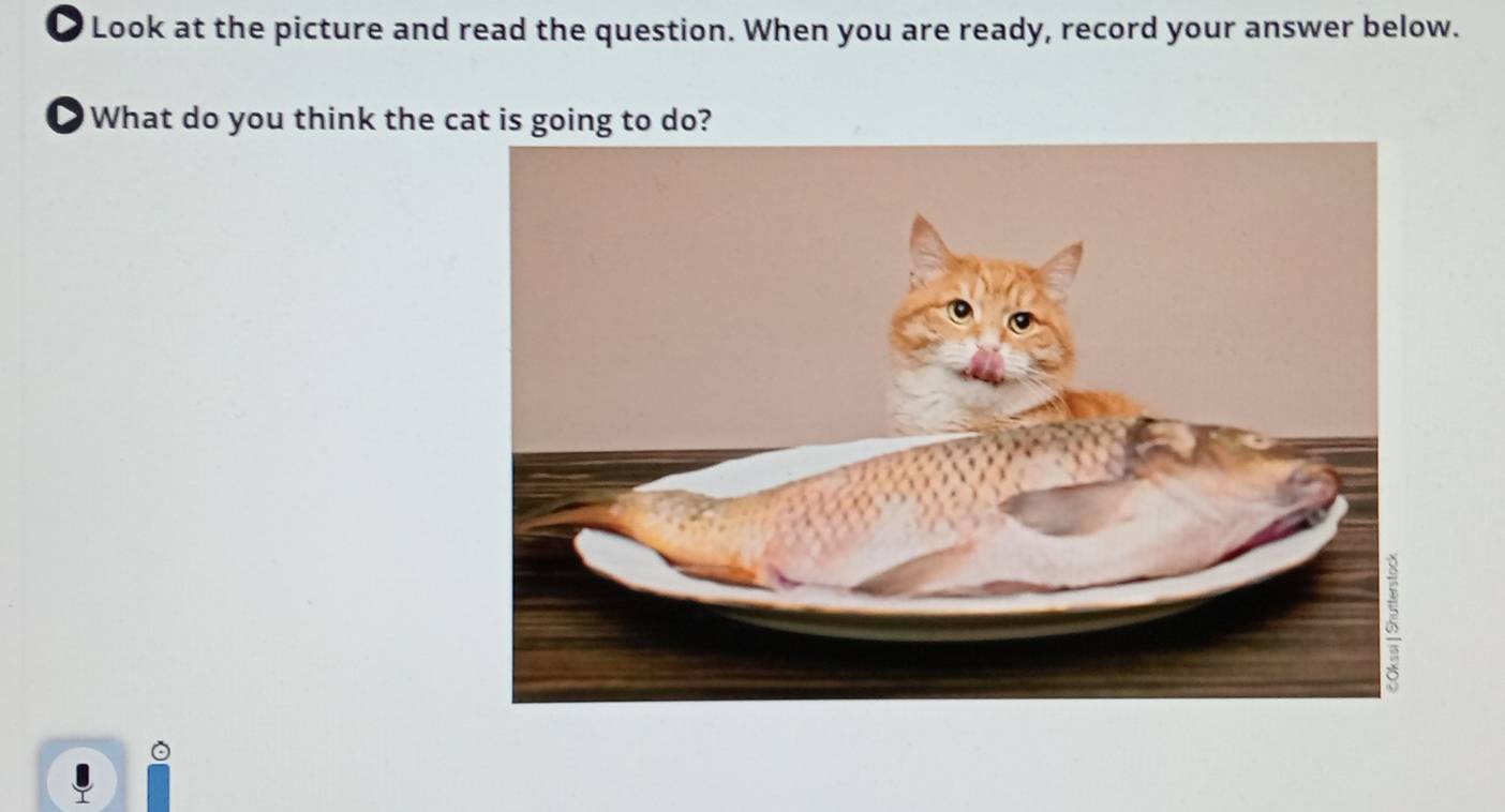 ● Look at the picture and read the question. When you are ready, record your answer below. 
● What do you think the cat is going to do?