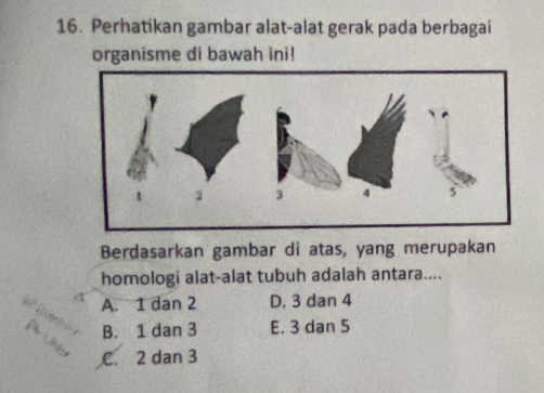 Perhatikan gambar alat-alat gerak pada berbagai
organisme di bawah ini!
Berdasarkan gambar di atas, yang merupakan
homologi alat-alat tubuh adalah antara....
A. 1 dan 2 D. 3 dan 4
B. 1 dan 3 E. 3 dan 5
C. 2 dan 3