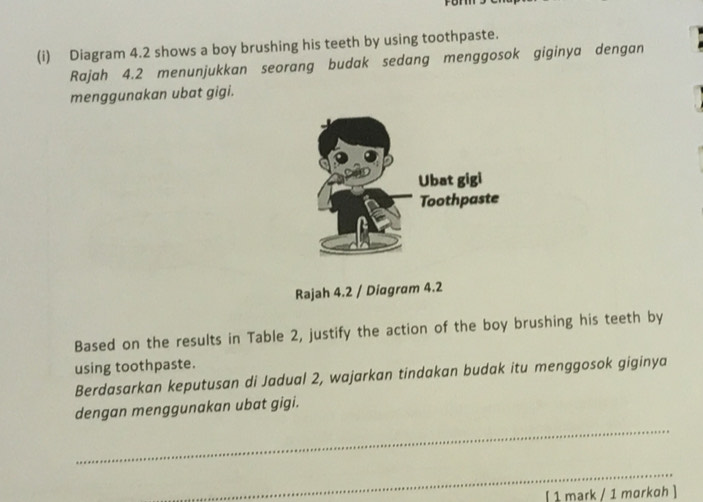 Diagram 4.2 shows a boy brushing his teeth by using toothpaste. 
Rajah 4.2 menunjukkan seorang budak sedang menggosok giginya dengan 
menggunakan ubat gigi. 
Rajah 4.2 / Diagram 4.2 
Based on the results in Table 2, justify the action of the boy brushing his teeth by 
using toothpaste. 
Berdasarkan keputusan di Jadual 2, wajarkan tindakan budak itu menggosok giginya 
_ 
dengan menggunakan ubat gigi. 
_ 
( 1 mark / 1 mɑrkɑh ]