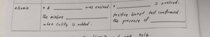 AAumin A _was evolved. _is evolved. 
The mixhere_ 
positive biuret test confirmed. 
when cusDy is added. the presence of_ 
yolk.