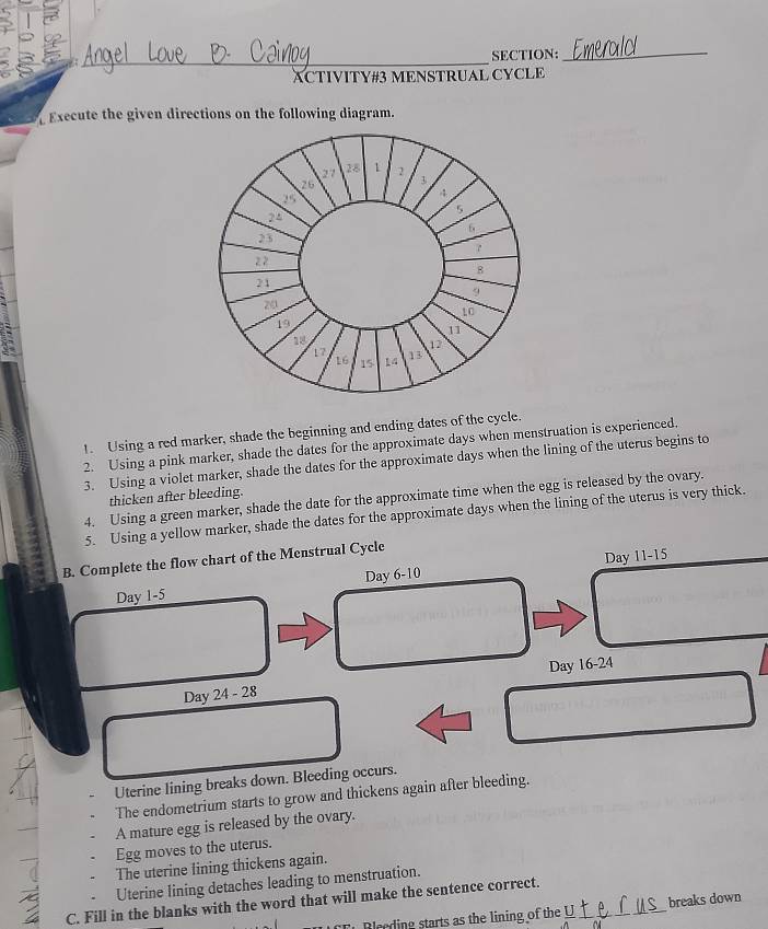 ACTIVITY#3 MENSTRUAL CYCLE
Execute the given directions on the following diagram.
1. Using a red marker, shade the beginning and ending dates of the cycle.
2. Using a pink marker, shade the dates for the approximate days when menstruation is experienced.
3. Using a violet marker, shade the dates for the approximate days when the lining of the uterus begins to
thicken after bleeding.
4. Using a green marker, shade the date for the approximate time when the egg is released by the ovary.
5. Using a yellow marker, shade the dates for the approximate days when the lining of the uterus is very thick.
B. Complete the flow chart of the Menstrual Cycle
Day 1 - 5 Day 11 - 15
Day 6 - 10
Day 24 - 28 Day 16 - 24
Uterine lining breaks down. Bleeding occurs.
The endometrium starts to grow and thickens again after bleeding.
A mature egg is released by the ovary.
Egg moves to the uterus.
The uterine lining thickens again.
Uterine lining detaches leading to menstruation.
C. Fill in the blanks with the word that will make the sentence correct._
CF Bleeding starts as the lining of the U breaks down