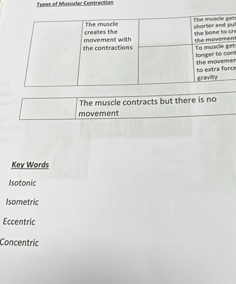 Types of Muscular Contraction
t
ul
r
n
t
nt
r
ce
The muscle contracts but there is no
movement
Key Words
Isotonic
Isometric
Eccentric
Concentric