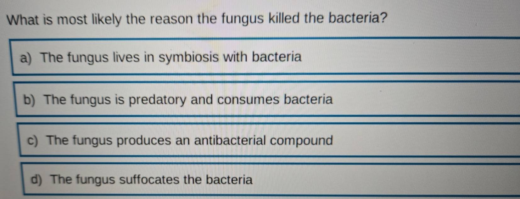 What is most likely the reason the fungus killed the bacteria?
a) The fungus lives in symbiosis with bacteria
b) The fungus is predatory and consumes bacteria
c) The fungus produces an antibacterial compound
d) The fungus suffocates the bacteria