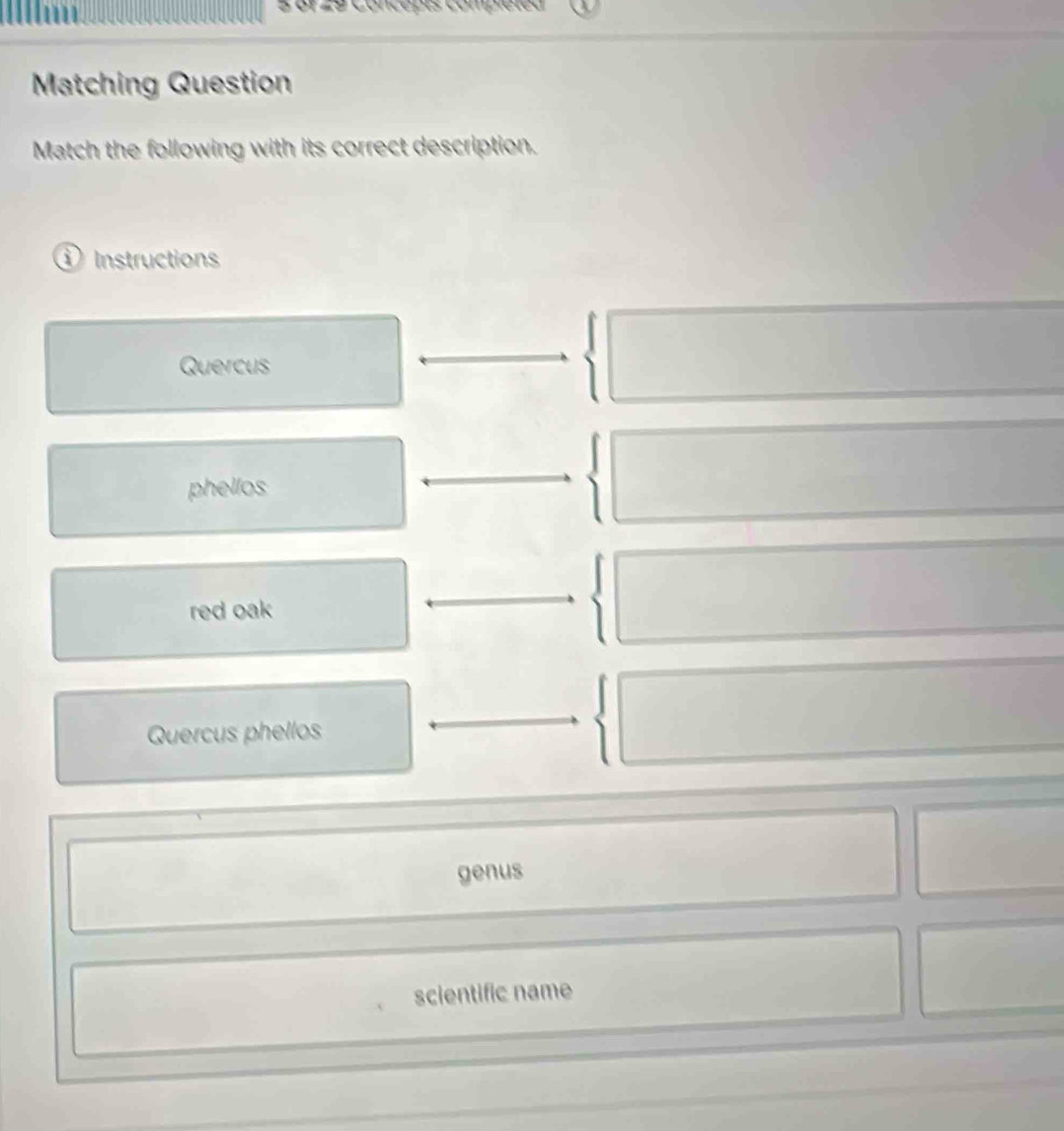 L9 Concepts compléted
Matching Question
Match the following with its correct description.
① Instructions
Quercus
phellos
red oak
Quercus phellos
genus
scientific name