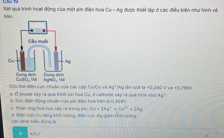 Cau 19
Xét quá trình hoạt động của một pin điện hoá Cu - Ag được thiết lập ở các điều kiện như hình vẽ
sau.
Cho thể điện cực chuẩn của các cặp Cu/Cu và Ag^+/Ag lần lượt là +0,340 V và +0,799V.
a. Ở anode xảy ra quá trình oxi hoá Cu, ở cathode xảy ra quá trình khử . 4 g*.
b. Sức điện động chuẩn của pin điện hoá trên là 0,459V.
c. Phản ứng hoá học xảy ra trong pin: Cu+2Ag^+to Cu^(2+)+2Ag.
d. Điện cực Cu tăng khối lượng, điện cực Ag giảm khối lượng.
các phát biểu đúng là
A a,b,c
×