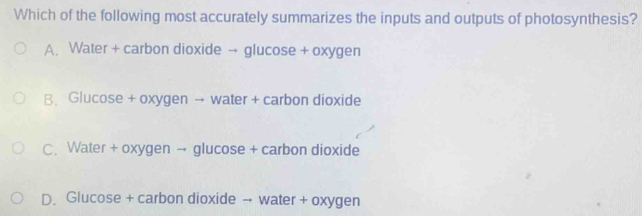 Which of the following most accurately summarizes the inputs and outputs of photosynthesis?
A. Water + carbon dioxide → glucose + oxygen
B. Glucose + oxygen → water + carbon dioxide
C. Water + oxygen → glucose + carbon dioxide
D. Glucose + carbon dioxide → water + oxygen