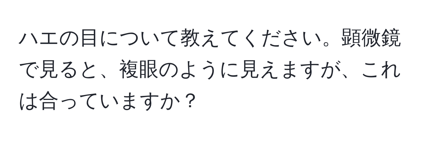 ハエの目について教えてください。顕微鏡で見ると、複眼のように見えますが、これは合っていますか？