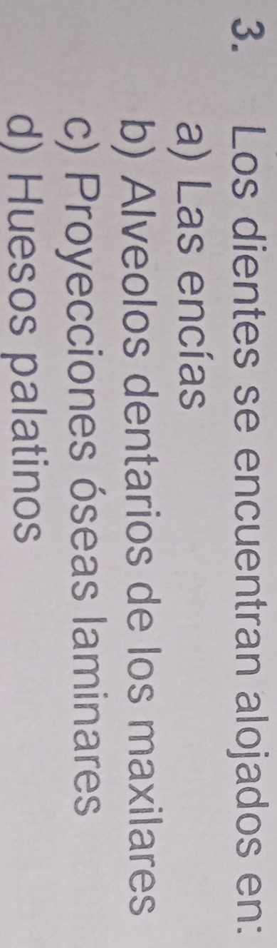 Los dientes se encuentran alojados en:
a) Las encías
b) Alveolos dentarios de los maxilares
c) Proyecciones óseas laminares
d) Huesos palatinos