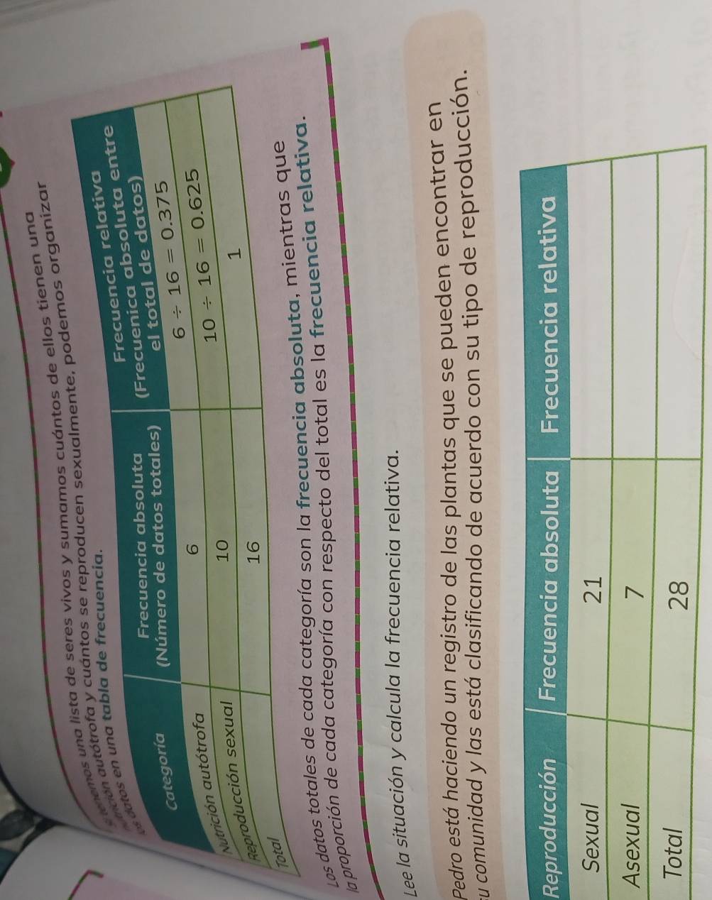 seres vivos y sumamos cuántos de ellos tienen una
podemos organizar
Los datos totales de cada categoría son la frecuencia ab
la proporción de cada categoría con respecto del total es la frecuencia relativa.
Lee la situación y calcula la frecuencia relativa.
Pedro está haciendo un registro de las plantas que se pueden encontrar en
su comunidad y las está clasificando de acuerdo con su tipo de reproducción.
R