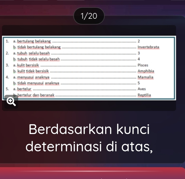 1/20 
1. a. bertulang belakang _2 
b. tidak bertulang belakang _Invertebrata 
2. a. tubuh selalu basah _3 
b. tubuh tidak selalu basah _4 
3. a. kulit bersisik _Pisces 
b. kulit tidak bersisik _Amphibia 
4. a. menyusui anaknya _Mamalia 
b. tidak menyusui anaknya _ 5
5. a. bertelur _Aves 
b. bertelur dan beranak_ Reptilia 
Q 
Berdasarkan kunci 
determinasi di atas,