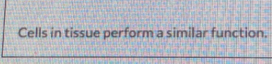Cells in tissue perform a similar function.
