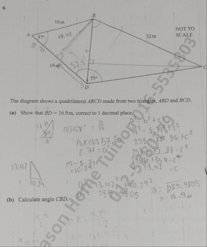 The diagram shows a quadrilateral ABCD made from two triangles, ABD and BCD.
(a) Show that BD=16.9m , correct to 1 decimal place.
(b) Calculate angle CBD.