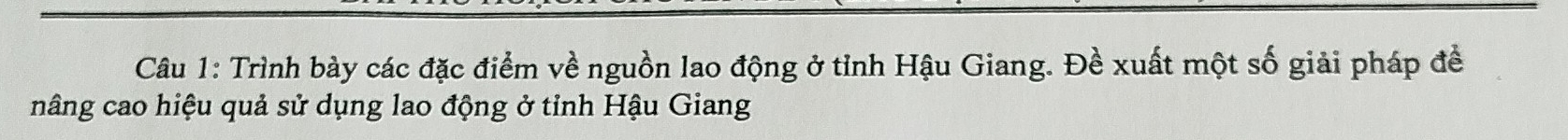 Trình bày các đặc điểm về nguồn lao động ở tỉnh Hậu Giang. Đề xuất một số giải pháp đề 
nâng cao hiệu quả sử dụng lao động ở tỉnh Hậu Giang