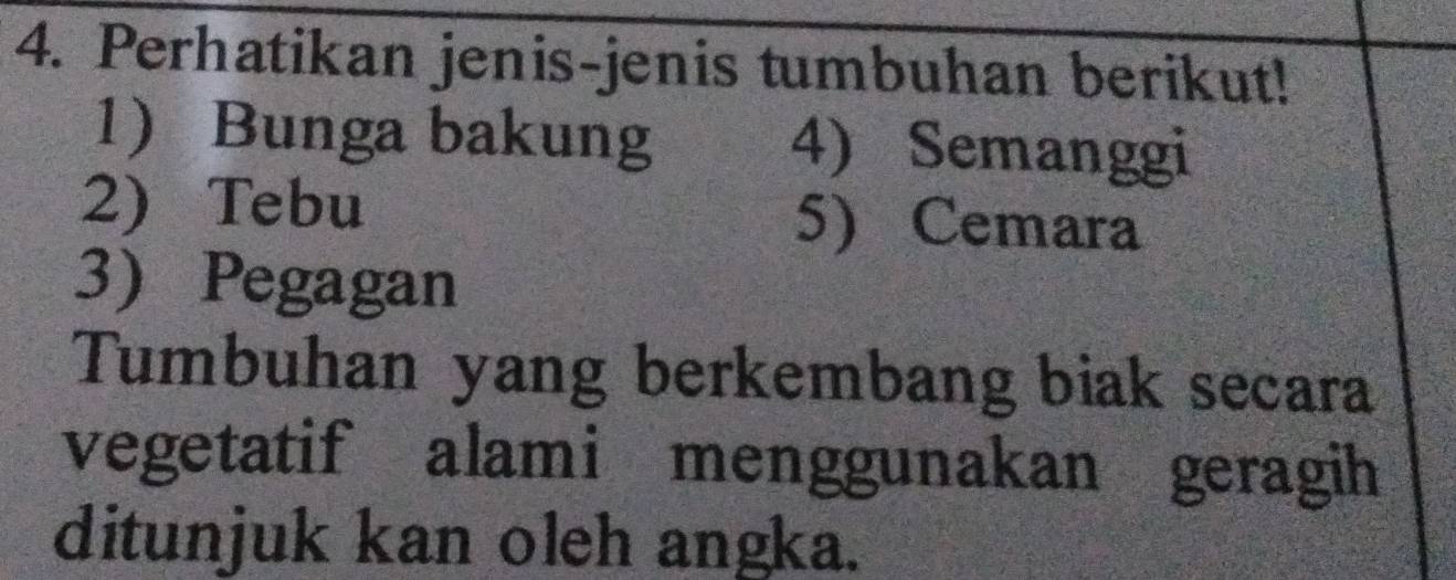 Perhatikan jenis-jenis tumbuhan berikut! 
1) Bunga bakung 4) Semanggi 
2) Tebu 5) Cemara 
3) Pegagan 
Tumbuhan yang berkembang biak secara 
vegetatif alami menggunakan geragih 
ditunjuk kan oleh angka.