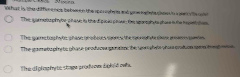 'ple Choice 20 points
What is the difference between the sporophyte and gametophyte phases in a plant's life cde
The gametophyte phase is the diploid phase; the sporophyte phase is the hapleid phase
The gametophyte phase produces spores; the sporophyte phase produces gametes.
The gametophyte phase produces gametes; the sporophyte phase produces spores through meioi
The diplophyte stage produces diploid cells.