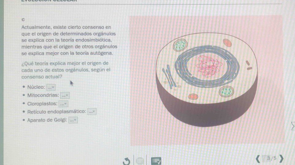 Actualmente, existe cierto consenso en 
que el origen de determinados orgánulos 
se explica con la teoría endosimbiótica, 
mientras que el origen de otros orgánulos 
se explica mejor con la teoría autógena. 
¿Qué teoría explica mejor el origen de 
cada uno de estos orgánulos, según el 
consenso actual? 
Núcleo: 
Mitocondrias: 
Cloroplastos: 
Retículo endoplasmático: 
Aparato de Golgi: 
3 /5