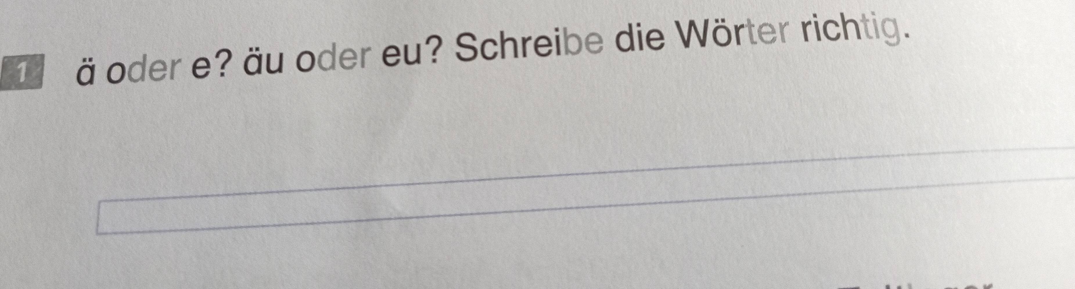 ä oder e? äu oder eu? Schreibe die Wörter richtig.