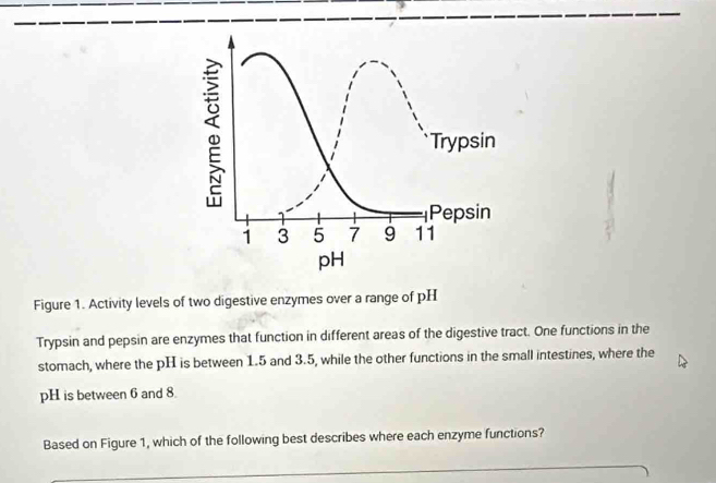 Figure 1. Activity levels of two digestive enzymes over a range of pH 
Trypsin and pepsin are enzymes that function in different areas of the digestive tract. One functions in the 
stomach, where the pH is between 1.5 and 3.5, while the other functions in the small intestines, where the 
pH is between 6 and 8
Based on Figure 1, which of the following best describes where each enzyme functions?