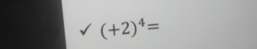 (+2)^4=