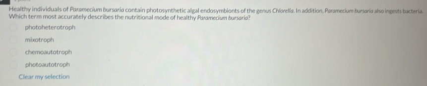 Healthy individuals of Paramecium bursaria contain photosynthetic algal endosymbionts of the genus Chlorella. In addition, Parømecium bursaria also ingests bacteria.
Which term most accurately describes the nutritional mode of healthy Paramecium bursarid?
photoheterotroph
mixotroph
chemoautotroph
photoautotroph
Clear my selection