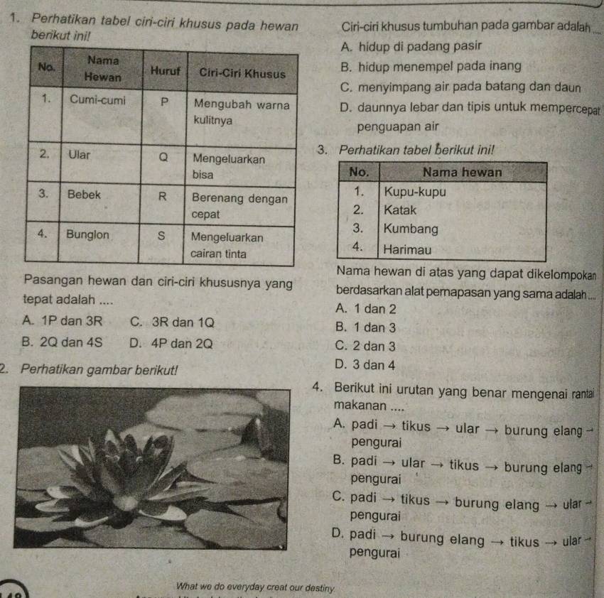 Perhatikan tabel ciri-ciri khusus pada hewan Ciri-ciri khusus tumbuhan pada gambar adalah
berikut ini!
A. hidup di padang pasir
B. hidup menempel pada inang
C. menyimpang air pada batang dan daun
D. daunnya lebar dan tipis untuk mempercepat
penguapan air
. Perhatikan tabel berikut ini!
Nama hewan di atas yang dapat dikelompokan
Pasangan hewan dan ciri-ciri khususnya yang berdasarkan alat pernapasan yang sama adalah ....
tepat adalah .... A. 1 dan 2
A. 1P dan 3R C. 3R dan 1Q B. 1 dan 3
B. 2Q dan 4S D. 4P dan 2Q C. 2 dan 3
2. Perhatikan gambar berikut!
D. 3 dan 4. Berikut ini urutan yang benar mengenai rantai
makanan ....
A. padi → tikus → ular → burung elang →
pengurai
B. padi → ular → tikus → burung elan 
pengurai
C. padi → tikus → burung elang → ula →
pengurai
D. padi → burung elang → tikus → ular→
pengurai
What we do everyday creat our destiny.