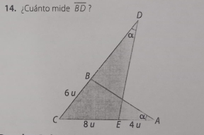 ¿Cuánto mide