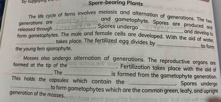 By supplying Spore-bearing Plants 
The life cycle of ferns involves meiosis and alternation of generations. The two 
generations are 
and gametophyte. Spores are produced and 
released through_ 
_ 
, Spores undergo 
and develop to 
form gametophytes. The male and female cells are developed. With the aid of water 
_takes place. The fertilized egg divides by 
the young fern sporophyte. 
_ 
to form 
Mosses also undergo alternation of generations. The reproductive organs are 
formed at the tip of the _Fertilization takes place with the aid of 
_. The_ is formed from the gametophyte generation. 
_ 
This holds the capsules which contain the _Spores undergo 
to form gametophytes which are the common green, leafy, and upright 
generation of the mosses.