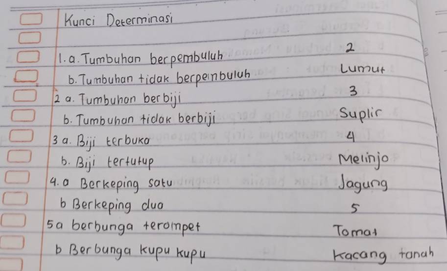 Kunci Determinasi 
2 
1. a. Tumbuhan berpembulah 
6. Tumbuhan tidak berpeinbuluh 
Lumut 
2 a. Tumbuhan ber bigi 
3 
6. Tumbuhan tidak berbiji 
Suplir 
3 a. Biji terbuka 
b. Biji tertutup Melinjo 
4. a Berkeping satu Jagung 
b Berkeping dua 5
5a berbunga terompet Tomat 
b Ber bunga kupu kupu Kacang tanah