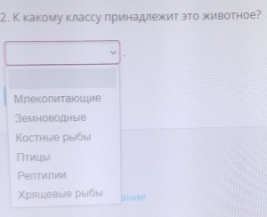 Ккакому классу принадлежит это животное?
Млеколиτаюшιие
3емноводныiе
Костные рыбы|
∩TMUbl
Ρептилии
Χряшевые рыбы Bhve