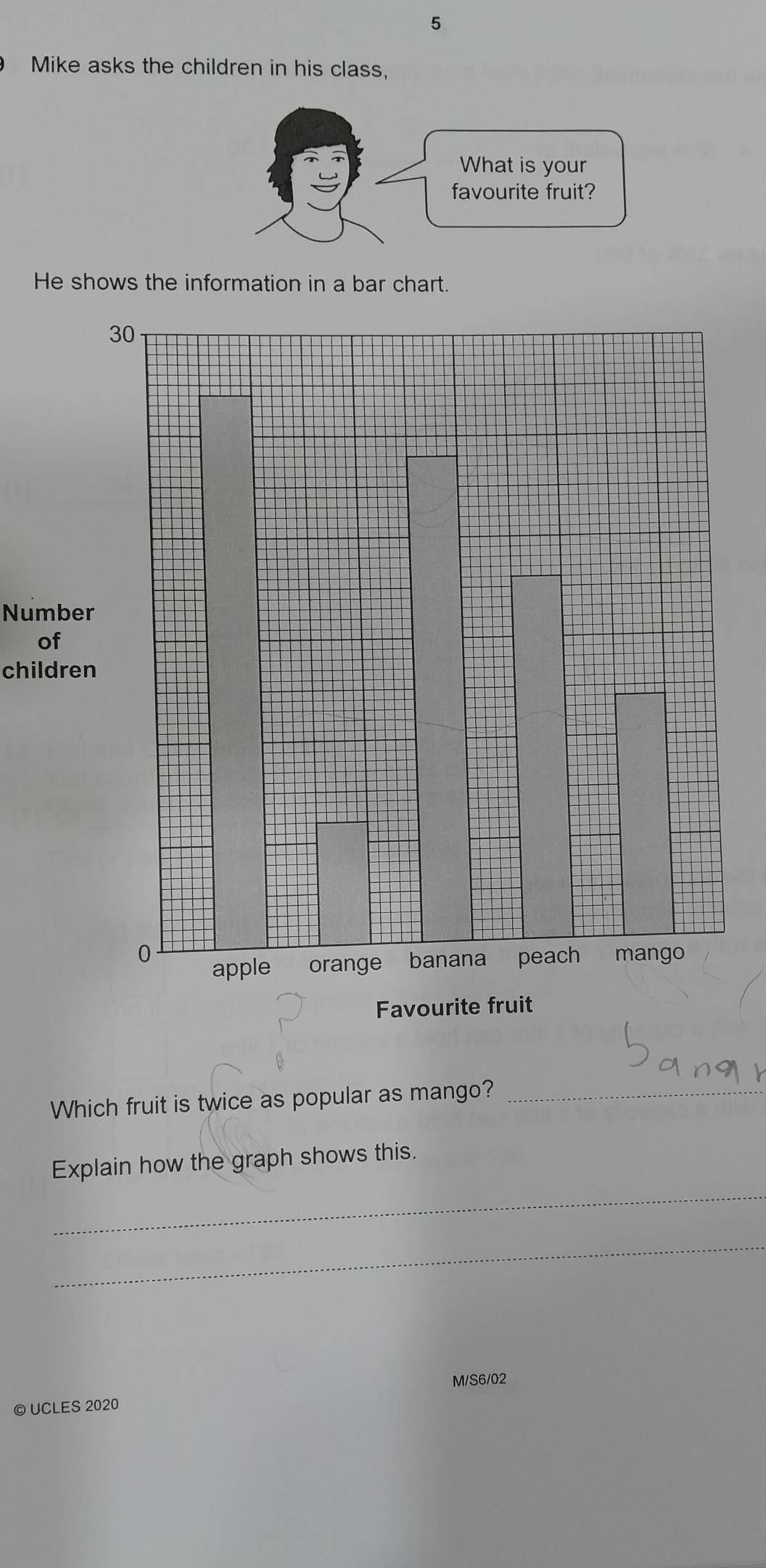 Mike asks the children in his class, 
He shows the information in a bar chart. 
Num 
of 
child 
Which fruit is twice as popular as mango?_ 
Explain how the graph shows this. 
_ 
_ 
M/S6/02 
© UCLES 2020