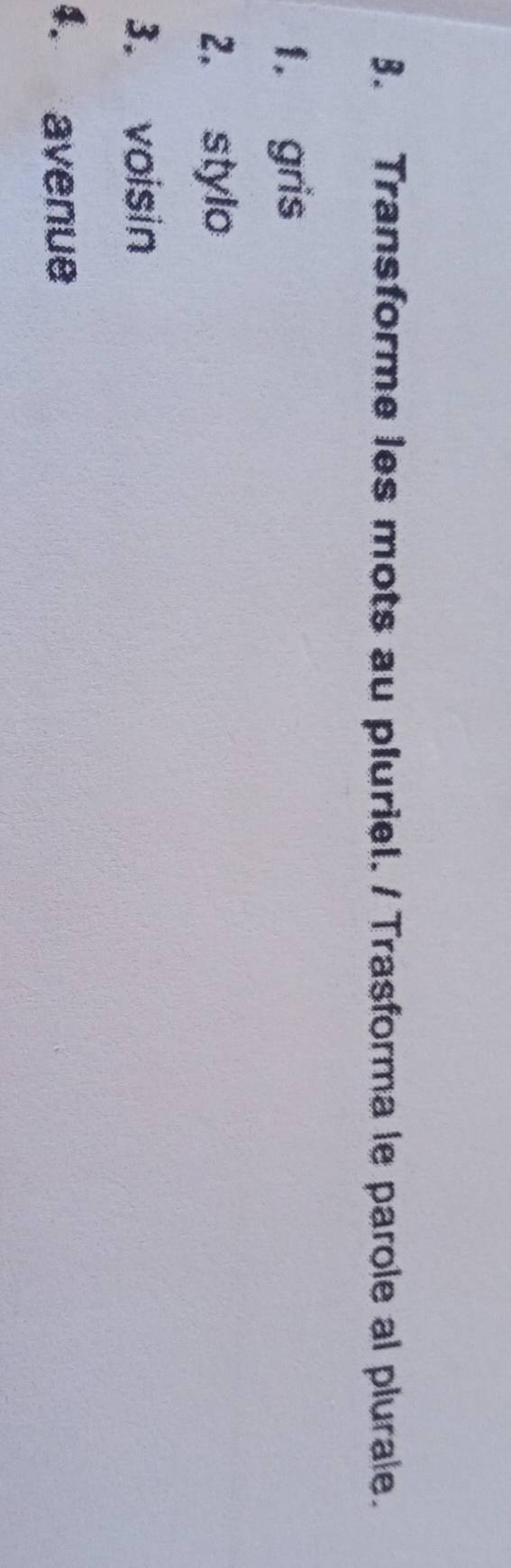 Transforme les mots au pluriel. / Trasforma le parole al plurale. 
1. gris 
2. stylo 
3. voisin 
4. avenue