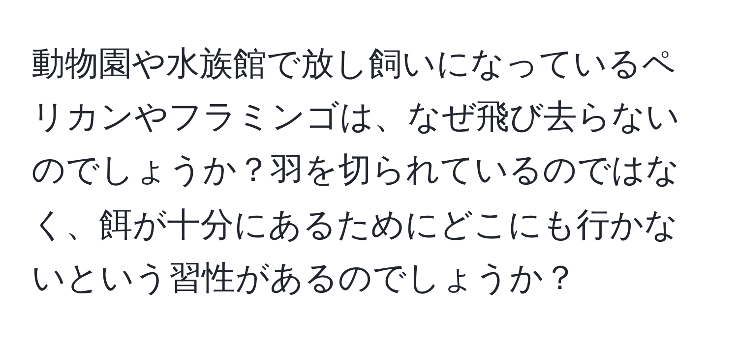 動物園や水族館で放し飼いになっているペリカンやフラミンゴは、なぜ飛び去らないのでしょうか？羽を切られているのではなく、餌が十分にあるためにどこにも行かないという習性があるのでしょうか？