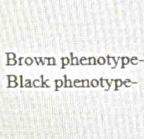 Brown phenotype 
Black phenotype-