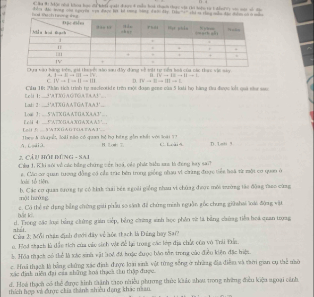 Cầu 9: Một nhà khoa học đã kháu quật được 4 mẫu hoà thạch thực vật (ki hiệu từ 1 đến(V) với một số đặc
m điễm đặc trưng còn nguyễn vẹn được liệt kê trong băng dưới đây. Dầu “+' chi ra rằng mẫu đặc điễm có ò mẫu
hoá thạch
c
Dựa vào bảng trên, giá thuyết nào sau đây đúng về trật tự tiền hoá của các thực vật này.
A. I → II → III → IV. B. IV → ⅢII → Ⅱ → 1.
C. ⅣV → I → II → III. D. IV → II → III → I.
Câu 10: Phân tích trình tự nucleotide trên một đoạn gene của 5 loài họ hàng thu được kết quả như sau
Loài 1: .....5’ATXGAGTGATAA3’....
Loài 2: .....5'ATXGAATGATAA3'...
Loài 3: .....5°ATX GAATGA XAA3’…...
Loài 4: .....5°ATX GAA XGA XAA3 "....
Lodi 5: .....5’ATXGAGTGA TAA3’....
Theo lí thuyết, loài nào có quan hệ họ hàng gần nhất với loài 1?
A. Loài 3. B. Loài 2. C. Loài 4. D. Loài 5.
2. CâU HÔi đÚNG - SAi
Câu 1. Khi nói về các bằng chứng tiến hoá, các phát biểu sau là đùng hay sai?
a. Các cơ quan tương đồng có cấu trúc bên trong giống nhau vì chúng được tiến hoá từ một cơ quan ở
loài tổ tiên.
b. Các cơ quan tương tự có hình thái bên ngoài giống nhau vì chúng được môi trường tác động theo cùng
một hướng.
c. Có thể sử dụng bằng chứng giải phẫu so sánh để chứng minh nguồn gốc chung giữahai loài động vật
bất kì.
d. Trong các loại bằng chứng gián tiếp, bằng chứng sinh học phân tử là bằng chứng tiến hoá quan trọng
nhất.
Câu 2: Mỗi nhận định dưới đây về hóa thạch là Đúng hay Sai?
a. Hoá thạch là dấu tích của các sinh vật để lại trong các lớp địa chất của vỏ Trái Đất.
b. Hóa thạch có thể là xác sinh vật hoá đá hoặc được bảo tồn trong các điều kiện đặc biệt.
c. Hoá thạch là bằng chứng xác định được loài sinh vật từng sống ở những địa điểm và thời gian cụ thể nhờ
xác định niên đại của những hoá thạch thu thập được.
d. Hoá thạch có thể được hình thành theo nhiều phương thức khác nhau trong những điều kiện ngoại cảnh
thích hợp và được chia thành nhiều dạng khác nhau.