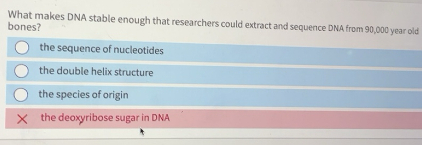 Solved: What makes DNA stable enough that researchers could extract and ...