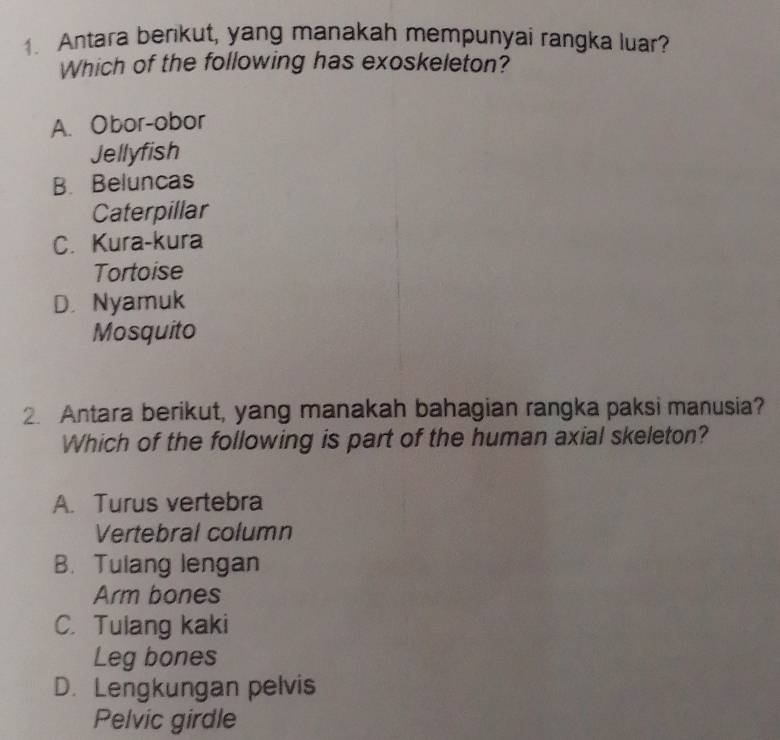 Antara berikut, yang manakah mempunyai rangka luar?
Which of the following has exoskeleton?
A. Obor-obor
Jellyfish
B. Beluncas
Caterpillar
C. Kura-kura
Tortoise
D. Nyamuk
Mosquito
2. Antara berikut, yang manakah bahagian rangka paksi manusia?
Which of the following is part of the human axial skeleton?
A. Turus vertebra
Vertebral column
B. Tulang lengan
Arm bones
C. Tulang kaki
Leg bones
D. Lengkungan pelvis
Pelvic girdle