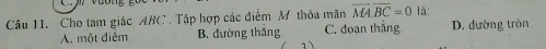 Cho tam giác ABC. Tập hợp các điểm M thỏa mãn overline MAoverline BC=0 là:
A. một điễm B. đường thắng C. đoạn thắng D. đường tròn