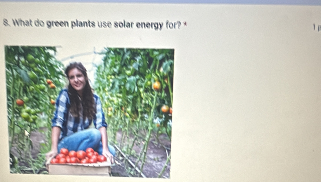 What do green plants use solar energy for? *