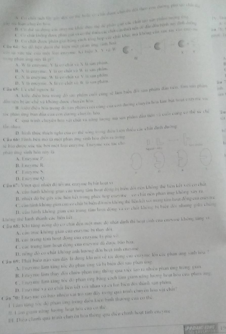 V. Cơ chát tích tùy gày đọc có thể hoặc có chái được chuyên đội theo con đường phu tc chấi độ
B C6 thể sự đụợg các engyme khác thay thể để phần gia các chất tạo sản phẩm tượng tn jV lao
B ày ại lạn chuy ên hòa
C. Cơ chát không được phần gải và có thể thiều các chất can thiết nên để dân đến bệnh suy dịnh dượn A -
o u  h
D. Co chất được phân giải bằng cách tổng hợp các chấi khác mả không cận xuc tạc của cn ma ăo 71:
Cầu 64: Sơ đồ bện đượi thể hiện một phim ứng sinh hoà
Côi sự vực tác của một loại enzyme. Ki hiệu X. Y và W
χ
ng phân ung này là g' 
W
A. W la enzyme. Y là co chát và X là san phẩm.
B. X là enzyme. Y là cơ chất và W là san phẩm
C. X là enzyme. W là co chất và Y là san phẩm
D. Y là enzyme. X là có chất và W là sau phẩm āu
Câu 65: Lc chế ngưọc là
A. kiểu điều hoa trong đồ sản phẩm cuối cùng sẽ làm biển đổi sản phẩm đầu tiên, làm san phẩm
inh .
jàn 
dâu tiên bị ức chế và không được chuyên hòa
B. kiểu điều hòa trong đó san phẩm cuối cùng của con đường chuyên hoa làm bắt hoạt enzyme xuc
ác phân ứng ban đầu của con đương chuyên hóa ậu y01
C. quả trình chuyên hoa vật chất và năng lượng ma sản phẩm đầu tiên và cuối cùng có thể uc chế
lần nhau
hù
D. hình thức thích nghĩ của cơ thể sông trong điều kiên thiểu các chất định dưỡng
Cầu 66: Hình bên mô ta một phan ứng sinh hòa diễn ra trong
te bào được xức tác bởi một loại enzyme. Enzyme xúc tạc cho
phan ứng sinh hóa này là Ngase
A. Enzyme P
B. Enzyme R.
C. Enzyme S.
r
D. Enzyme Q
Cầu 67: Vượt quả nhiệt đô tôi tu, enzyme bị bắt hoạt vi
A. cầu hình không gian của trung tâm hoạt động bị biển đôi nên không thẻ liên kết với có chất
B. nhiệt độ bê gãy các liên kết trong phúc hợp enzyme - co chất nên phan ứng không xay ra
C. câu hình không gian của cơ chất bị biển đối nên không thể liện kết với trung tâm hoạt động của enzymc
D. cầu hình không gian của trung tâm hoại động và có chất không bị biển đôi nhưng giữa chúng
Không thể hình thành các liện kết
Cầu 68: Khi tăng nông độ có chất đến một mục độ nhất định thi hoạt tinh của enzyme không tăng vi
A. cầu trục không gian của enzyme bị thay đôi
B. các trung tâm hoạt động của enzyme bị phá vô
C. các trung tâm hoạt động của enzyme đã được bão hòa.
D. nông đô có chất không ảnh hướng đến hoạt tinh enzyme
Cầu 69: Phát biểu nào sau đây là đụng khi nói về tác động của enzyme lên các phạn ứng sinh hòa2?
A. Enzyme làm tăng tốc đô phan ứng và bị biên đôi sau phan ung
B. Enzyme làm thay đôi chiếu phan ủng thông qua việc tạo ra nhiều phan ứng trung gian.
C. Enzyme làm tàng tốc độ phan ứng bằng cách lâm giam năng lượng hoạt hóa của phan ứng
D. Enzyme và có chất liện kết với nhân và ca hai biện đôi thành sản phẩm,
Cần 70: Enzyme có bao nhiều vai trò san đây trong quả trình chuyên hoa vật chất'
LL âm tăng tóc độ phan ứng trong điều kiện bình thường của có thể.
H. L âm giam năng lương hoạt hóa của cơ thể.
II. Diễn chính quá trình chuy ên hóa thông qua điều chính hoạt tỉnh enzyme
S4 DANG (ONG